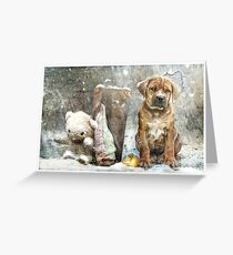 Left out in the cold Greeting Card