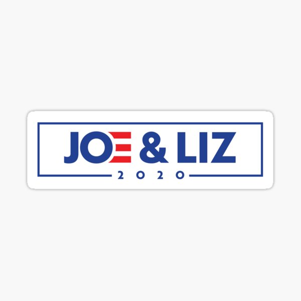JOE & LIZ 2020 Bumper Sticker Merch Sticker