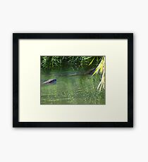Otters in the tropical zone - Nutrias en la zona tropical Framed Print