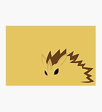 Sandslash Photographic Print