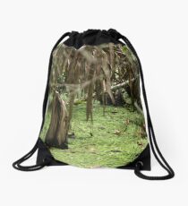 Cypress Stump Drawstring Bag