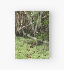 Cypress Stump Hardcover Journal