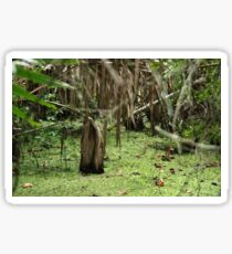 Cypress Stump Sticker