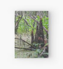Swamp Floor Hardcover Journal