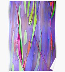 Rainbow Gum Poster
