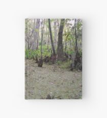 Swamp Lands Hardcover Journal