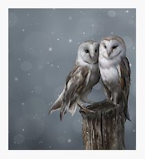 Silent Watchers Photographic Print