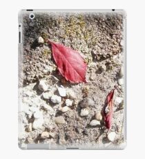 red 2 iPad Case/Skin
