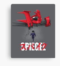 Spiegel Canvas Print