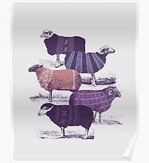 Cool Sweaters Poster