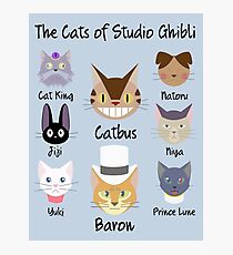 THE CATS OF STUDIO GHIBLI Photographic Print