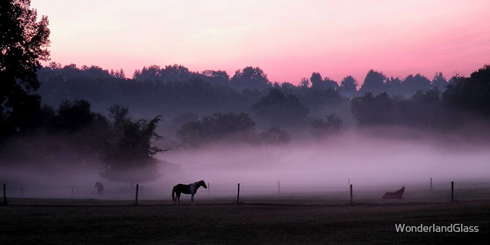 Magic Morningmagic Horses By Wonderlandglass Redbubble - 