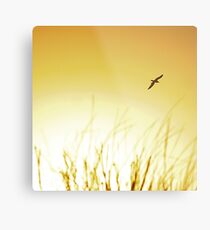Yellow skys Metal Print