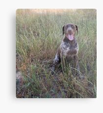 Beautiful Rosie... Metal Print