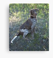 Miss Rosie.. Canvas Print