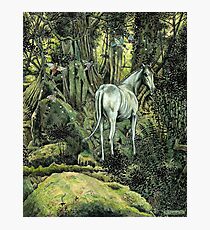 Unicorn & Pixies Photographic Print