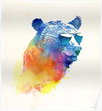 Sunny Bear Poster