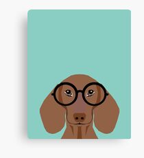 Remy - Fashion Glasses Doxie Dashcund Hipster Dog Canvas Print