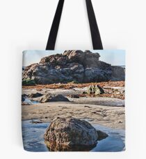 Big Rock, Little Rock Tote Bag