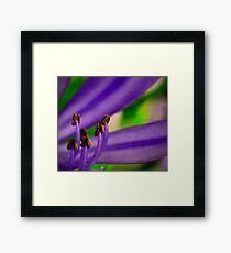 Six Framed Print