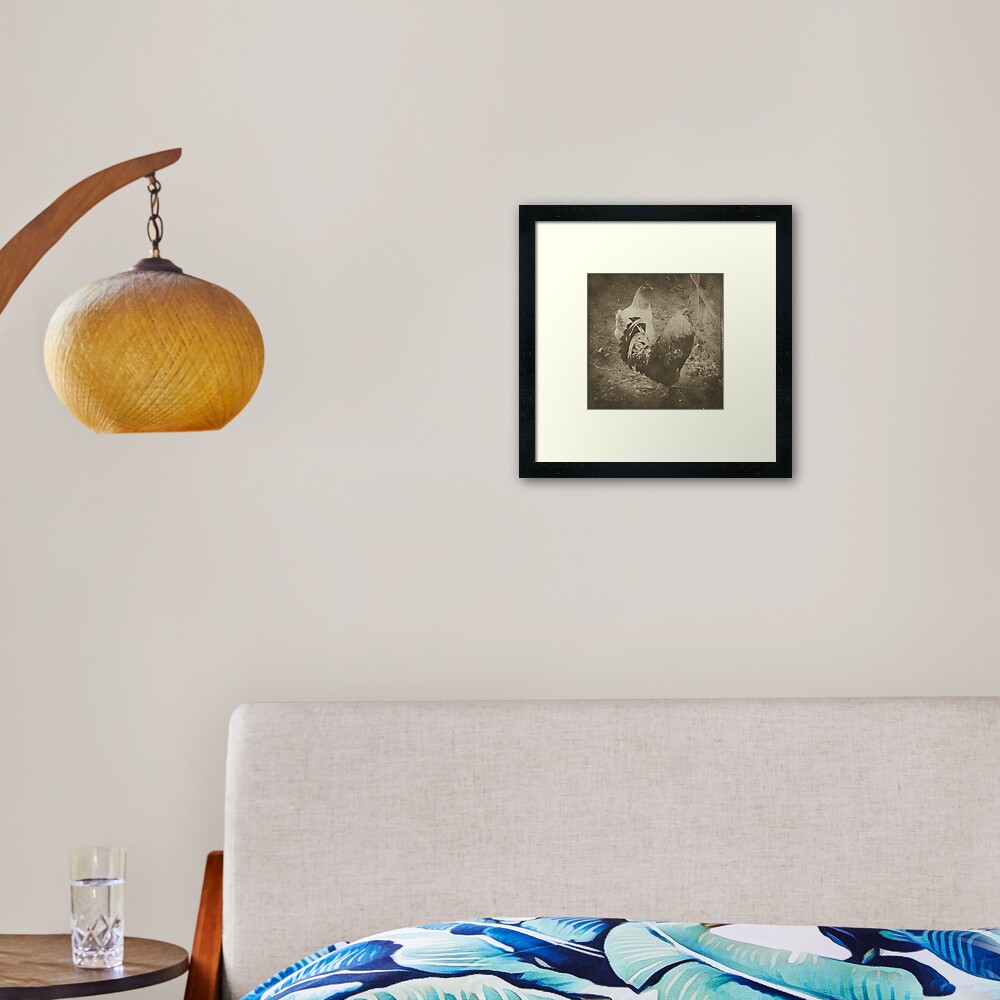 Cockrel Framed Art Print