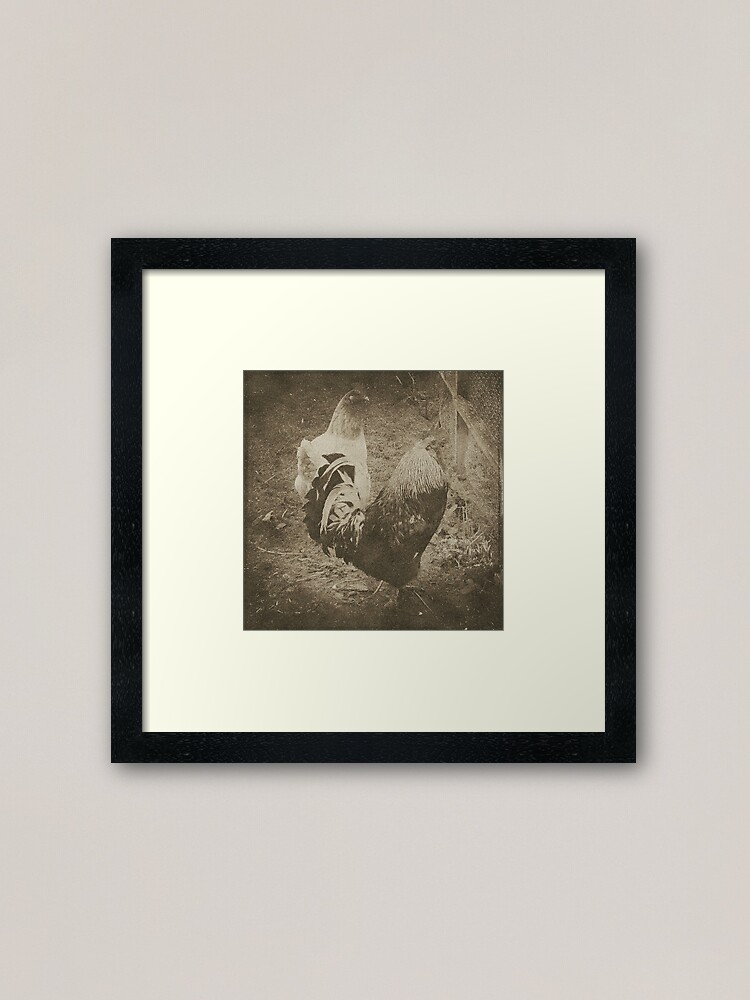 Alternate view of Cockrel Framed Art Print