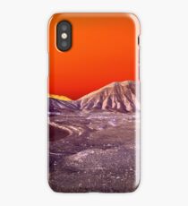 The Once and Future Malibu iPhone Case