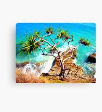 Viewpoint Canvas Print