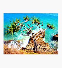 Viewpoint Photographic Print