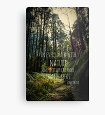 Lámina metálica En cada paseo con la naturaleza - John Muir