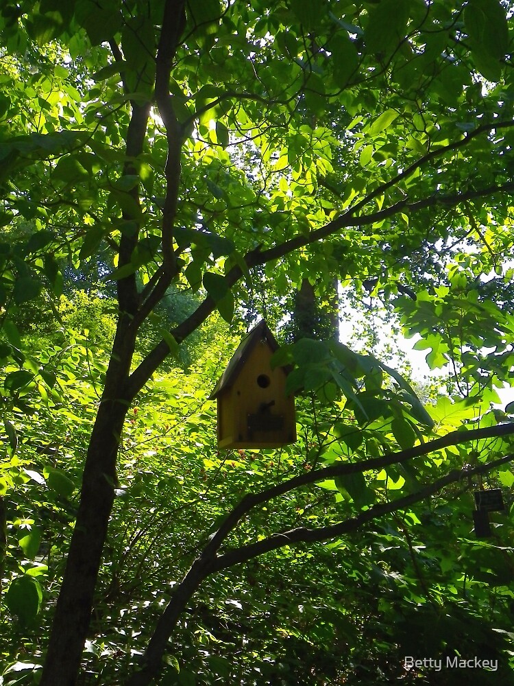 "A Birdhouse in the Forest" by Betty Mackey Redbubble
