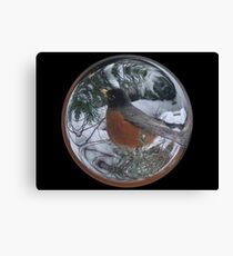 Cindy's Snow Globe's 5 Canvas Print