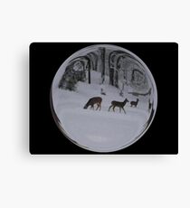 Cindy's Snow Globe's 8 Canvas Print