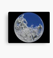 Cindy's Snow Globe's 9 Canvas Print