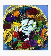 Knitter's Helper - cat oil painting Photographic Print