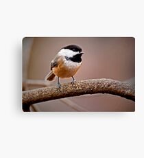 Pigeon Toed Canvas Print