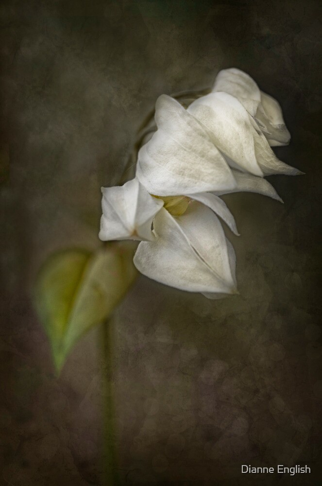 sombre-mood-by-dianne-english-redbubble