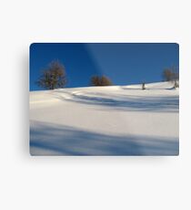 Winter scene Metal Print