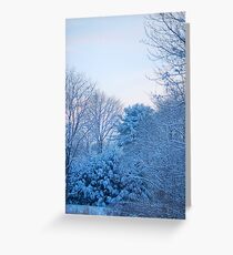winter scene Greeting Card