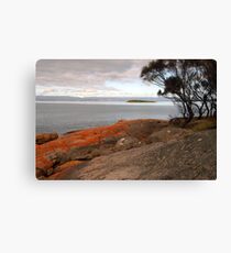 Early morning Coles Bay, Freycinet, Tasmania Canvas Print