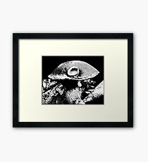 Mushroom Cap Macro Framed Print