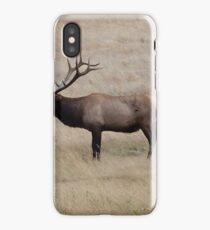 Bull Elk in Rocky Mountain National Park iPhone Case