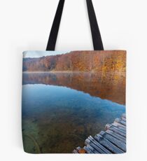 Looking at the lake Tote Bag