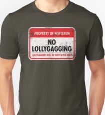 Whiterun Municipal Ordinance Slim Fit T-Shirt