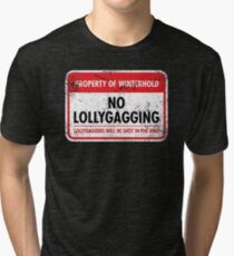 Winterhold Municipal Ordinance Tri-blend T-Shirt