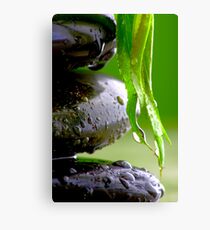 Wellness Canvas Print