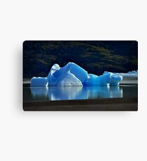 Iceberg Canvas Print