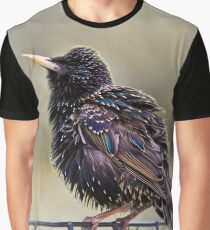 Starling Graphic T-Shirt