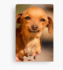 weird smile Canvas Print