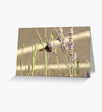 Busy Busy Busy Greeting Card